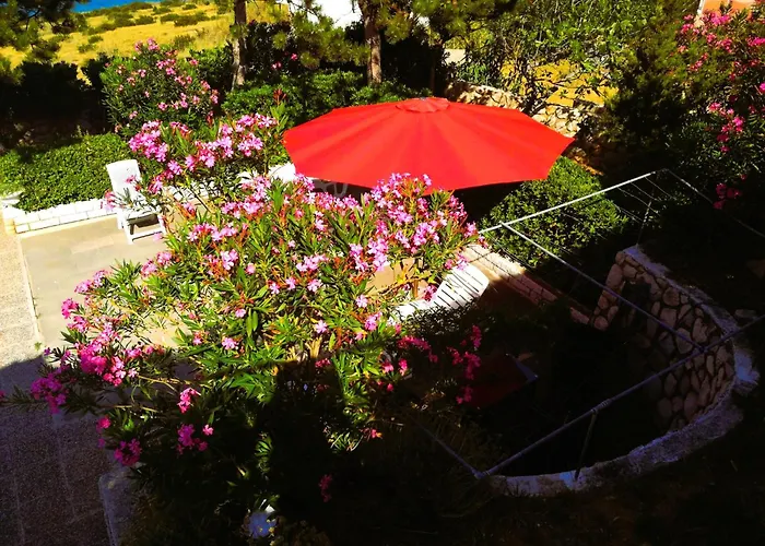 Family K&m Апартаменты *