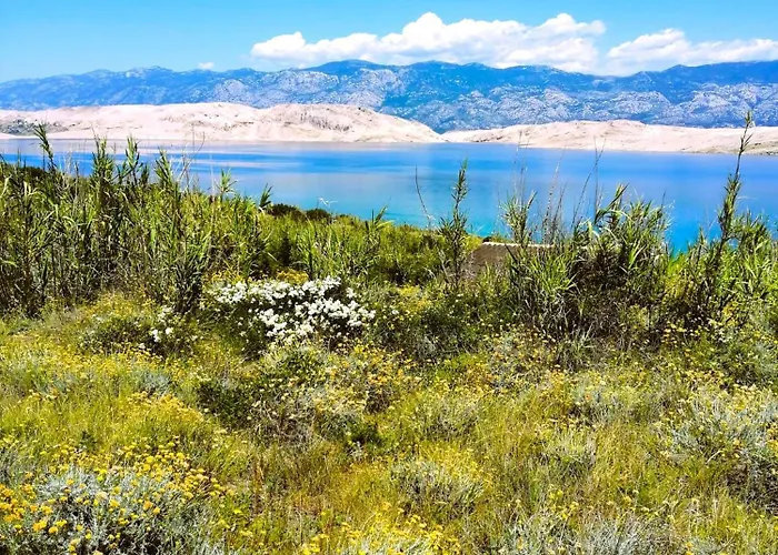 Апартаменты Family K&m *